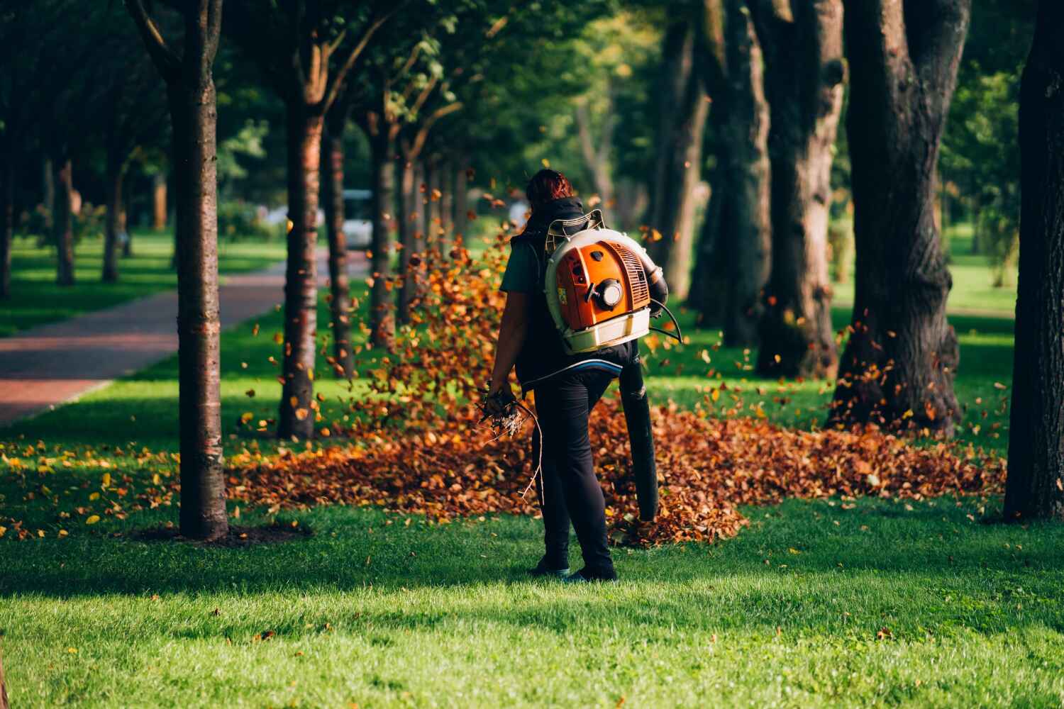 Best Tree Care Services  in Yuipa, CA